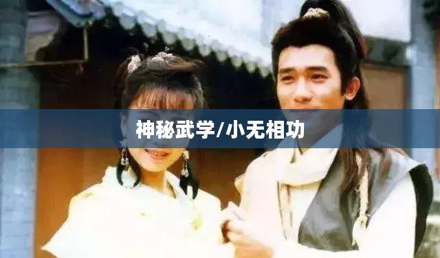 侠客风云传中的神秘武学揭秘,小无相功探秘 侠客风云传中的神秘武学揭秘,小无相功探秘