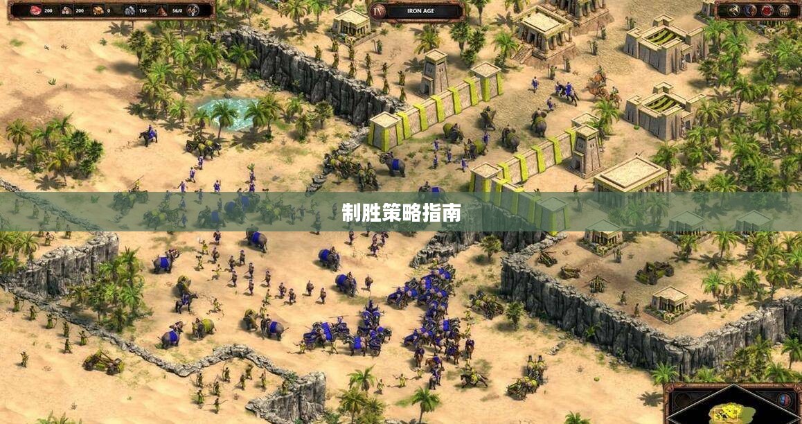 帝国时代2秘籍大全,秘密武器与制胜策略指南 帝国时代2秘籍大全,秘密武器与制胜策略指南