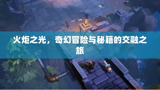 火炬之光，奇幻冒险与秘籍的交融之旅
