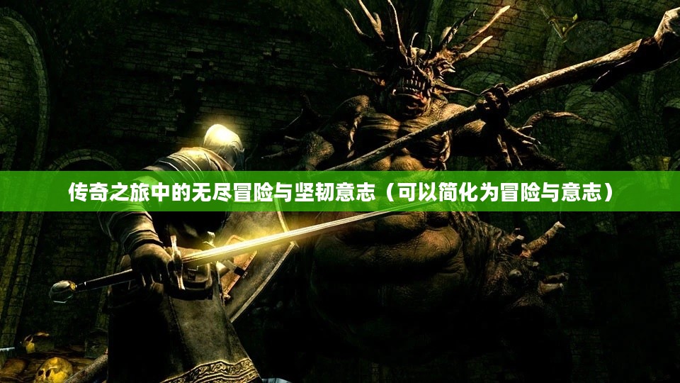 黑暗之魂，传奇之旅中的无尽冒险与坚韧意志