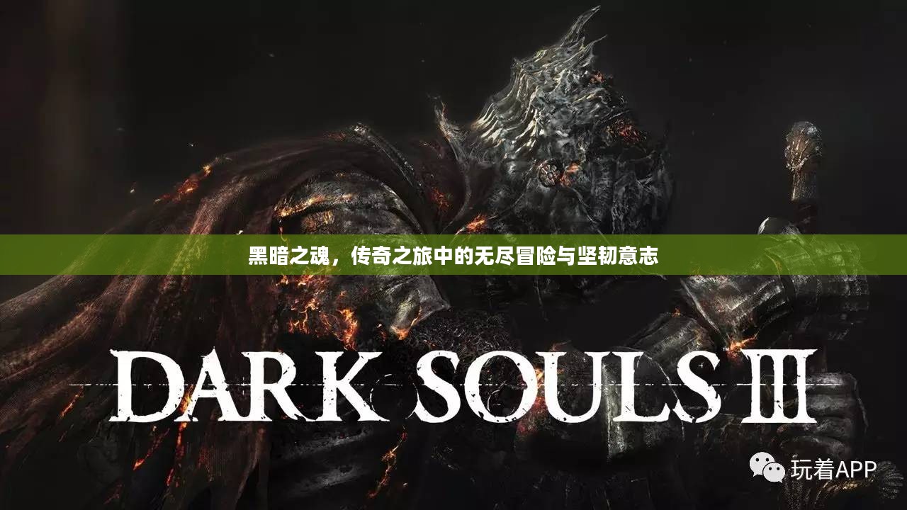 黑暗之魂,传奇之旅中的无尽冒险与坚韧意志 黑暗之魂,传奇之旅中的无尽冒险与坚韧意志