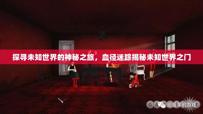 探寻未知世界的神秘之旅，血径迷踪揭秘未知世界之门
