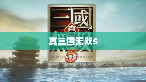 重温经典真三国无双5，热血下载开启！