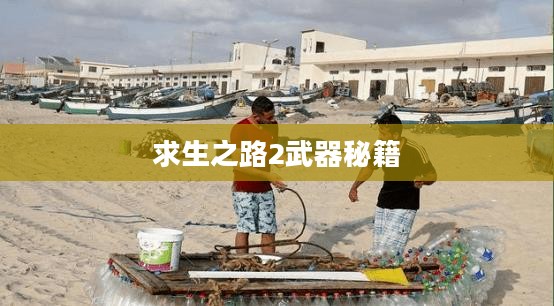 求生之路2武器秘籍全解析，深入探索游戏装备的秘密