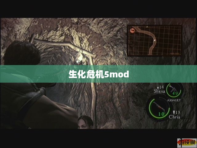 生化危机5mod，新篇章的探险与挑战
