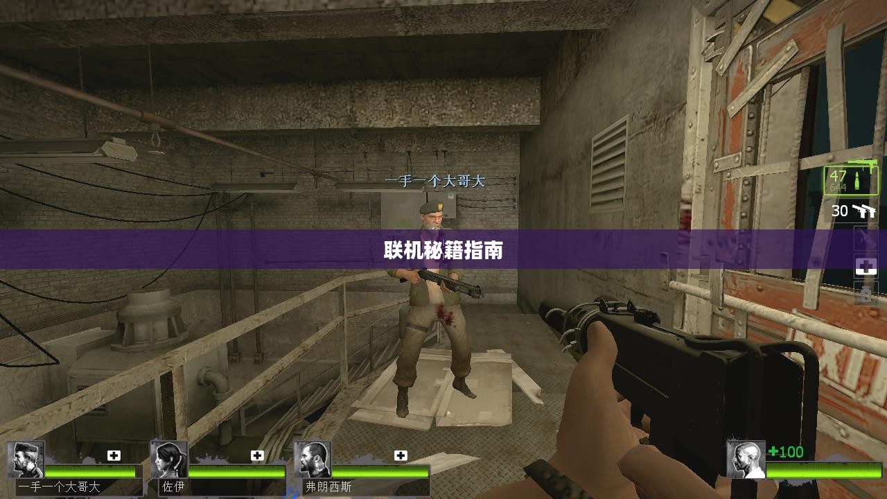 求生之路2联机秘籍指南
