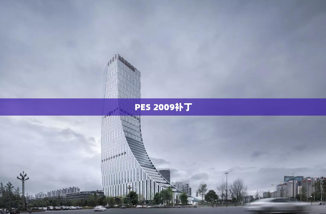 PES 2009补丁详解，提升游戏体验的关键要素指南