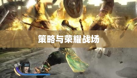 真三国无双3，荣耀与策略交融的战场
