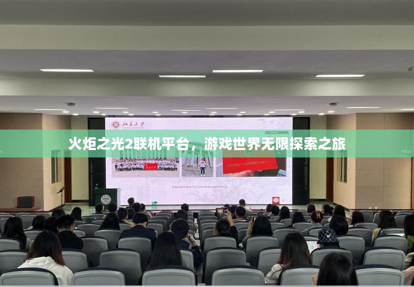 火炬之光2联机平台，游戏世界无限探索之旅
