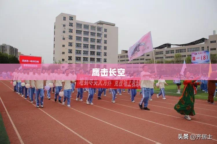 鹰击长空，探索极致飞翔体验——中文版下载指南
