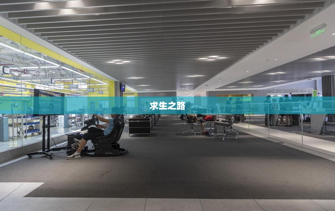 求生之路,秘籍与生存智慧的交汇点 求生之路,秘籍与生存智慧的交汇点