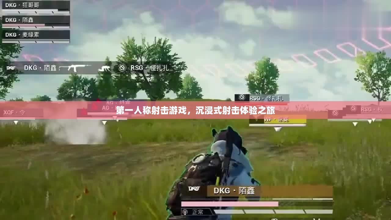 第一人称射击游戏，沉浸式射击体验之旅