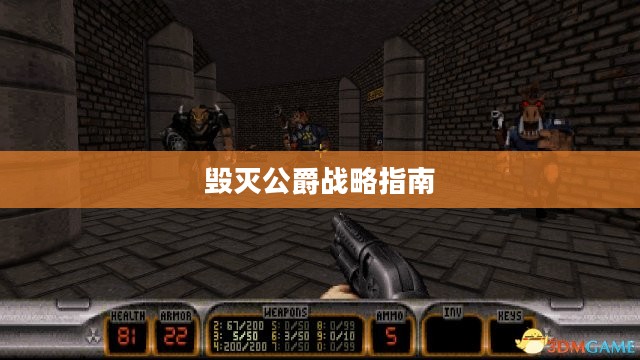 毁灭公爵战略指南,征服游戏世界的全面攻略 毁灭公爵战略指南,征服游戏世界的全面攻略