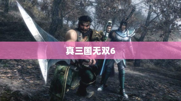 真三国无双6中文版下载，重温经典游戏之旅