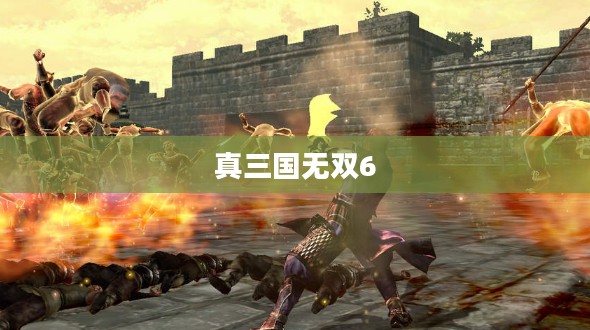 真三国无双6中文版下载,重温经典游戏之旅 真三国无双6中文版下载,重温经典游戏之旅