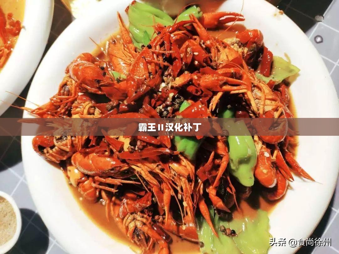 霸王Ⅱ汉化补丁,游戏文化的跨语言交融之旅 霸王Ⅱ汉化补丁,游戏文化的跨语言交融之旅