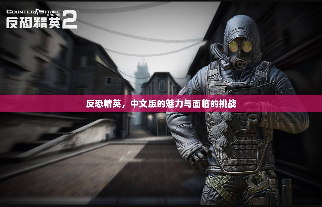 反恐精英，中文版的魅力与面临的挑战