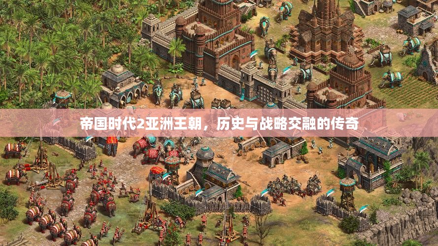 帝国时代2亚洲王朝,历史与战略交融的传奇 帝国时代2亚洲王朝,历史与战略交融的传奇