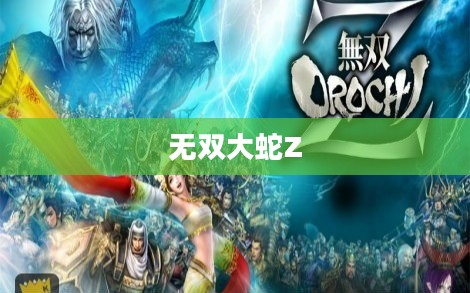 无双大蛇Z，众志成城，全英雄闪耀登场