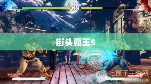 街头霸王5，热血格斗之巅