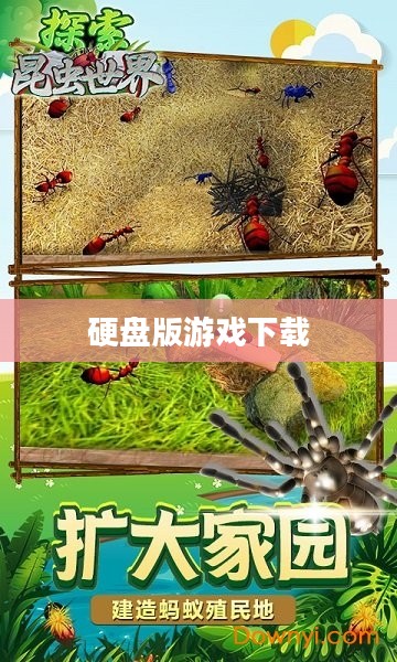 硬盘版游戏下载，探索游戏世界的快捷通道
