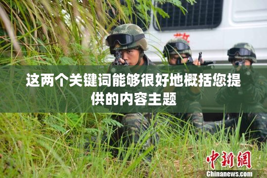 红色警戒攻略，战略战术完美融合之道