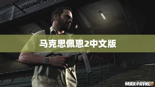 马克思佩恩2中文版，经典射击游戏的魅力本土化