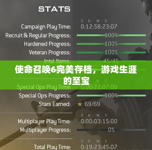 使命召唤6完美存档，游戏生涯的至宝