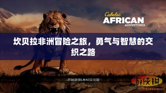 坎贝拉非洲冒险之旅,勇气与智慧的交织之路 坎贝拉非洲冒险之旅,勇气与智慧的交织之路