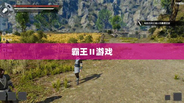 霸王Ⅱ游戏秘籍攻略大全