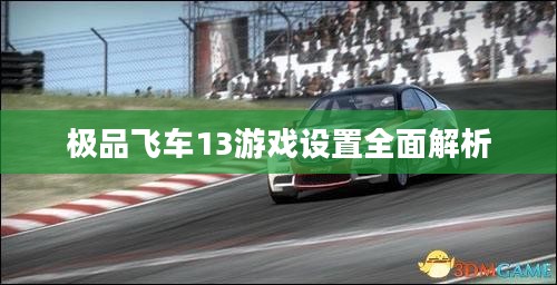 极品飞车13游戏设置全面解析