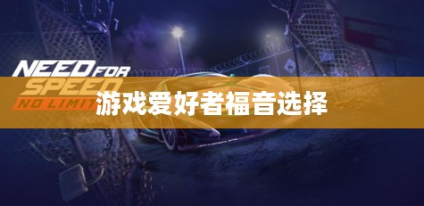 极品飞车16破解补丁，游戏爱好者的福音选择