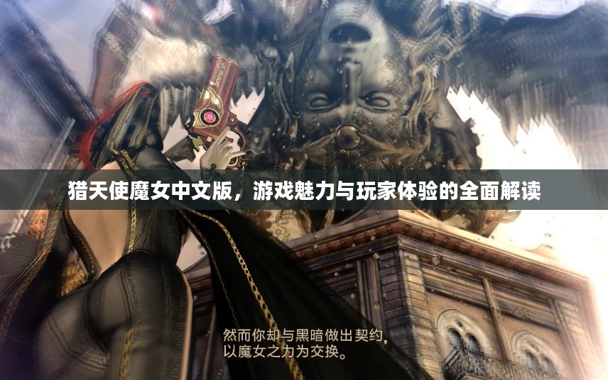 猎天使魔女中文版,游戏魅力与玩家体验的全面解读 猎天使魔女中文版,游戏魅力与玩家体验的全面解读