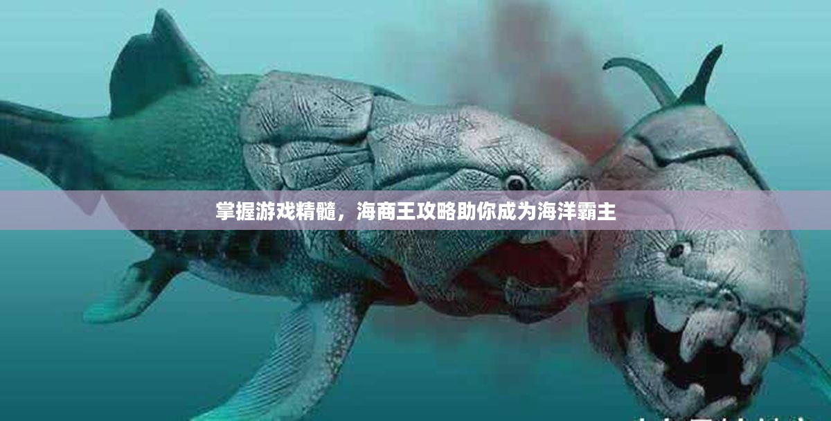 掌握游戏精髓，海商王攻略助你成为海洋霸主