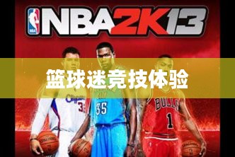 NBA 2K13繁体中文硬盘版，篮球迷的梦幻之选，热血竞技体验开启！