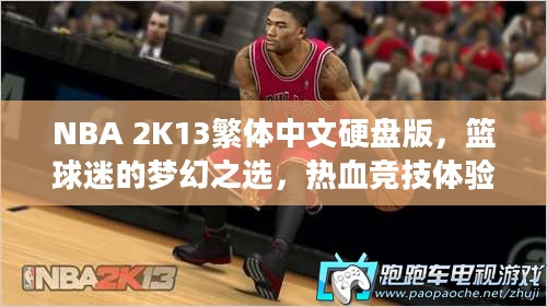 NBA 2K13繁体中文硬盘版，篮球迷的梦幻之选，热血竞技体验开启！