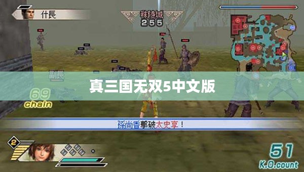 真三国无双5中文版深度解析与实战体验分享