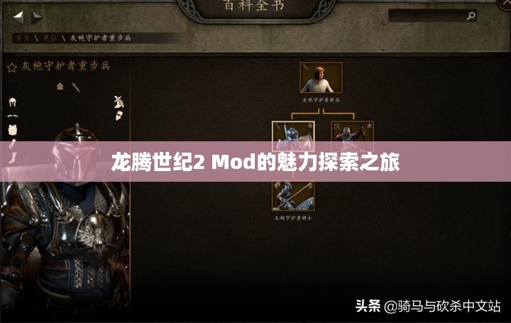 龙腾世纪2 Mod的魅力探索之旅
