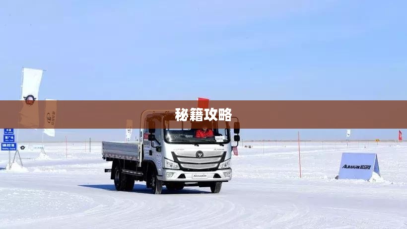 欧洲卡车模拟游戏秘籍攻略大全