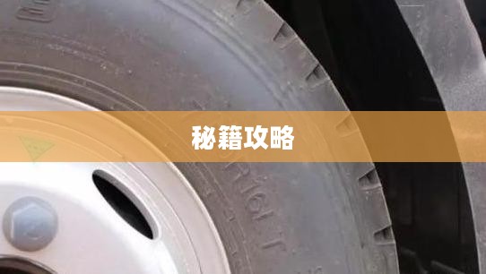 欧洲卡车模拟游戏秘籍攻略大全