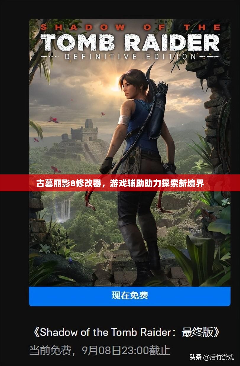 古墓丽影8修改器，游戏辅助助力探索新境界