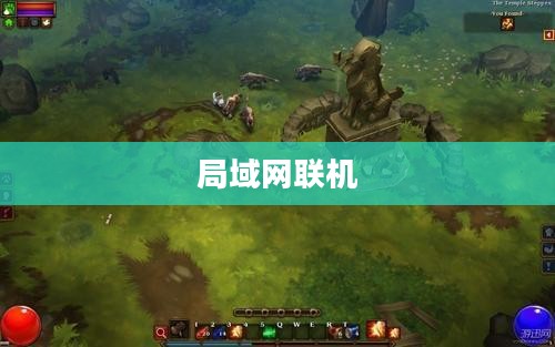 火炬之光2局域网联机指南