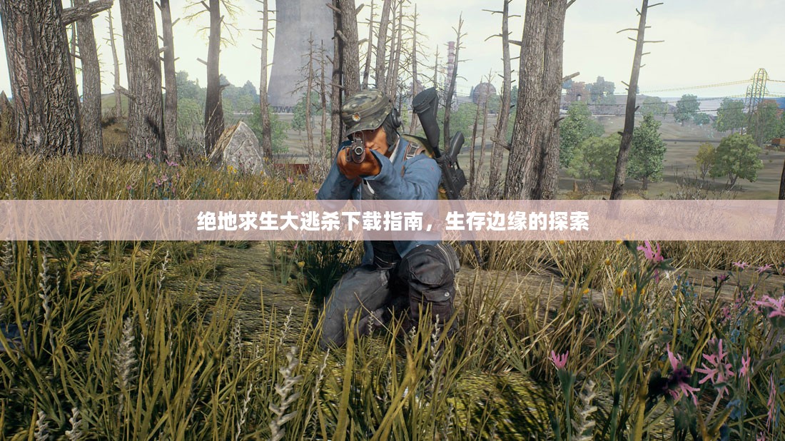 绝地求生大逃杀下载指南，生存边缘的探索