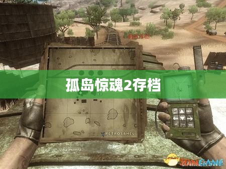孤岛惊魂2存档，游戏历程的沉浸式探索之旅