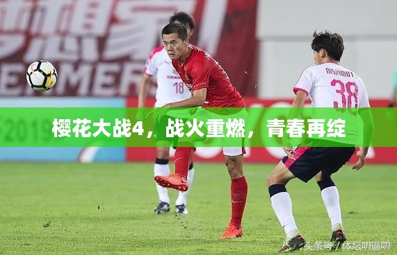 樱花大战4,战火重燃,青春再绽 樱花大战4,战火重燃,青春再绽