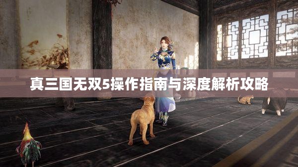 真三国无双5操作指南与深度解析攻略
