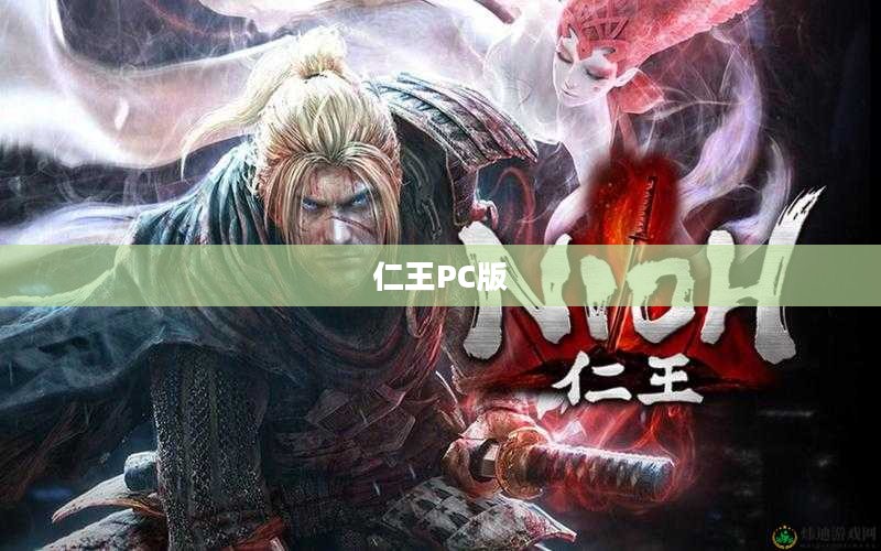仁王PC版重塑经典游戏魅力
