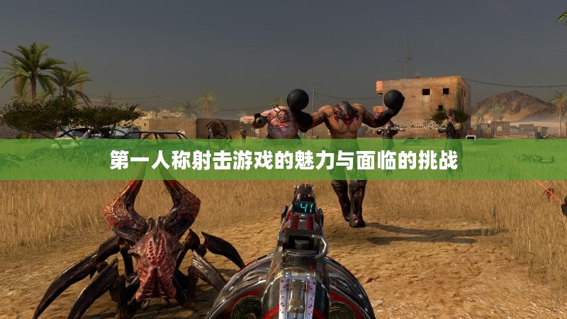 第一人称射击游戏的魅力与面临的挑战