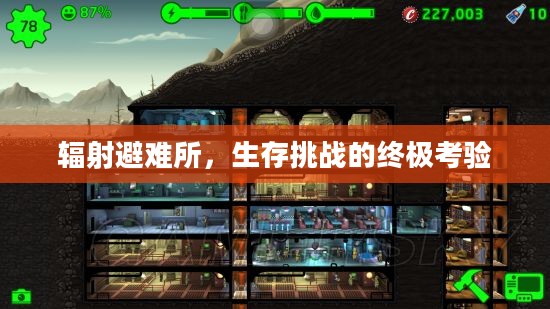 辐射避难所,生存挑战的终极考验 辐射避难所,生存挑战的终极考验