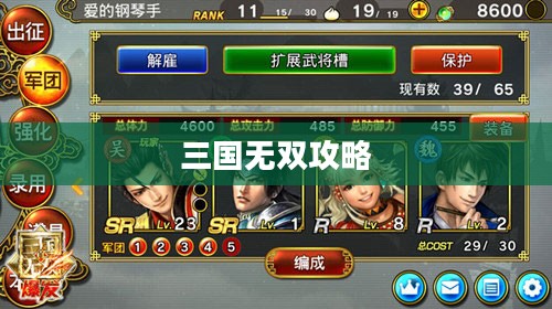 三国无双攻略，策略掌握，一统天下之路